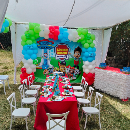 Birthday Party Planner (6)